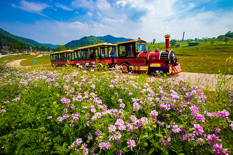 小(xiǎo)火車(chē).jpg